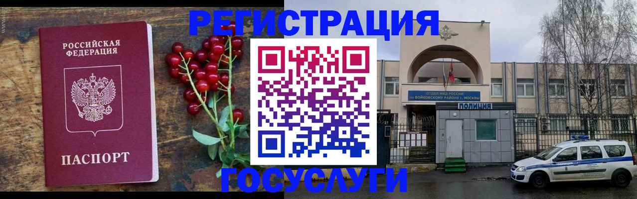 прописка 2025 в Александровске-Сахалинском